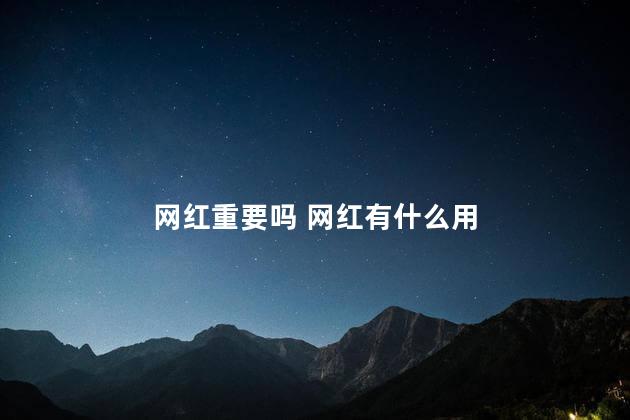 网红重要吗 网红有什么用